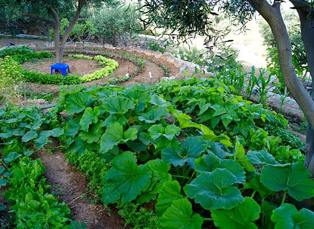 Good Life Greece Eco Villas Posidhonía Eksteriør billede